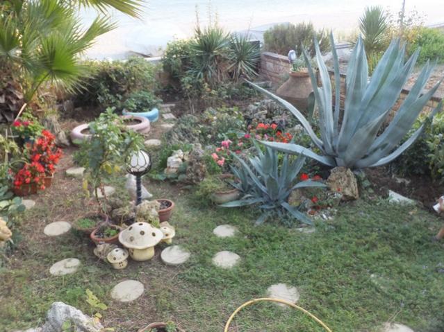 Name:  DSCF7613.jpg
Views: 489
Size:  64.0 KB