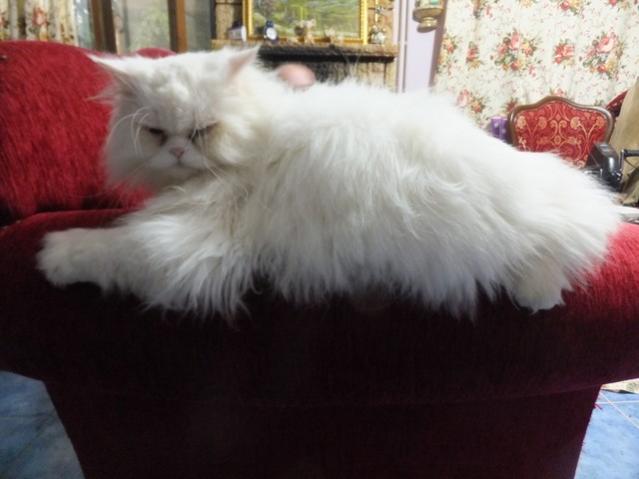 Name:  DSCF7643.jpg
Views: 439
Size:  32.1 KB