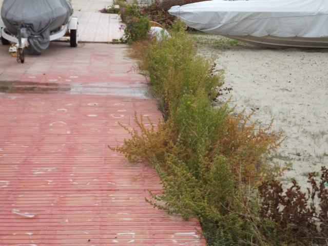 Name:  DSCF7700.jpg
Views: 406
Size:  51.8 KB