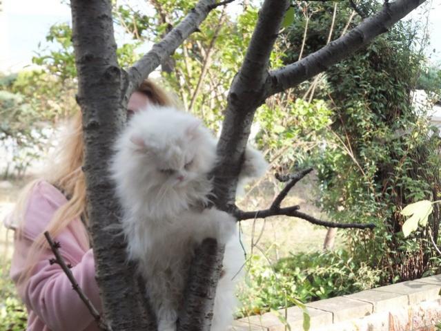 Name:  DSCF7710.jpg
Views: 427
Size:  61.9 KB