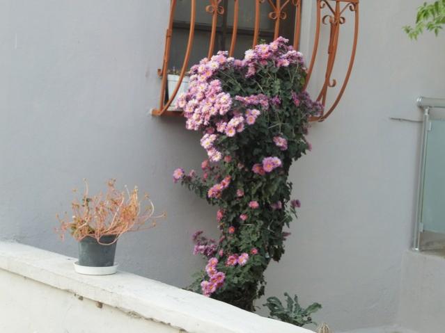 Name:  DSCF7728.jpg
Views: 352
Size:  32.3 KB