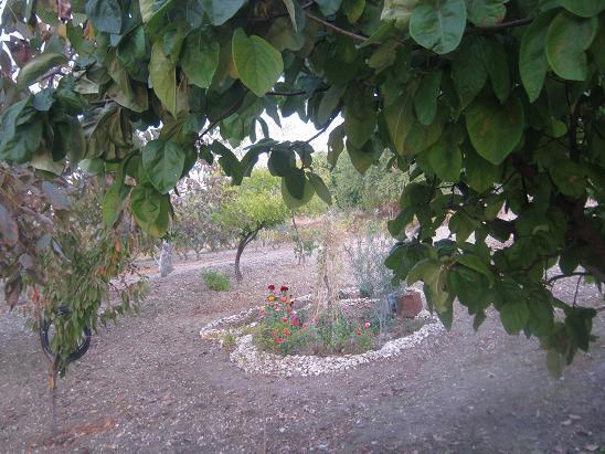 Name:  sonbahar6.JPG
Views: 1192
Size:  68.2 KB