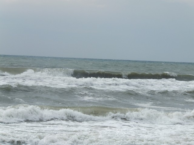 Name:  DSCF7740.jpg
Views: 462
Size:  63.5 KB
