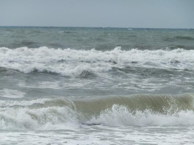 Name:  DSCF7742.jpg
Views: 358
Size:  35.3 KB