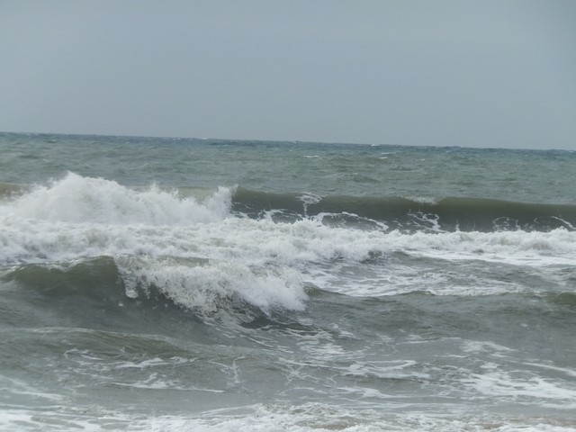 Name:  DSCF7743.jpg
Views: 396
Size:  67.1 KB