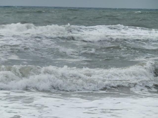 Name:  DSCF7745.jpg
Views: 392
Size:  38.6 KB