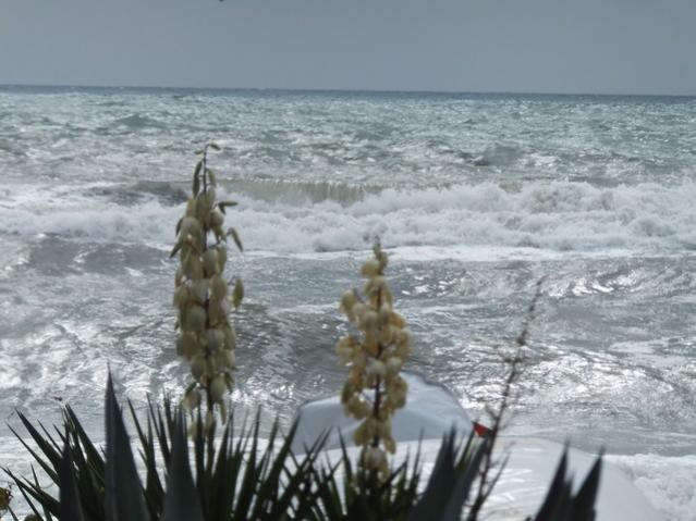 Name:  DSCF7761.jpg
Views: 366
Size:  46.7 KB