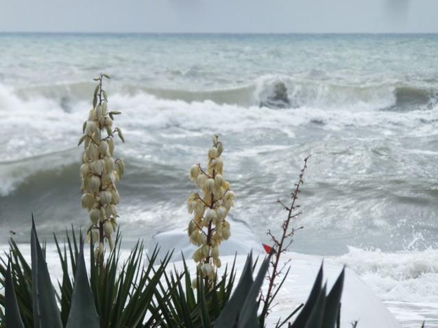 Name:  DSCF7767.jpg
Views: 337
Size:  40.4 KB