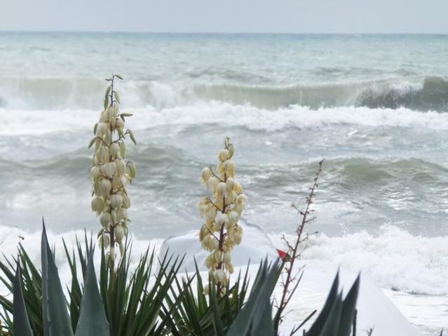 Name:  DSCF7768.jpg
Views: 350
Size:  39.1 KB