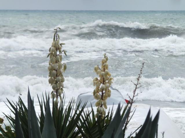 Name:  DSCF7769.jpg
Views: 334
Size:  42.3 KB