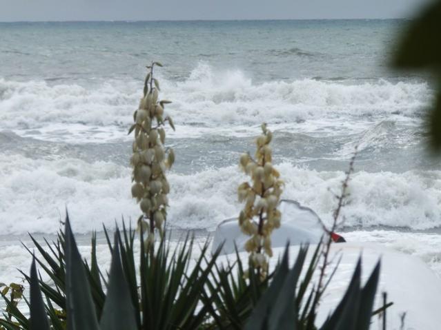Name:  DSCF7771.jpg
Views: 359
Size:  41.5 KB