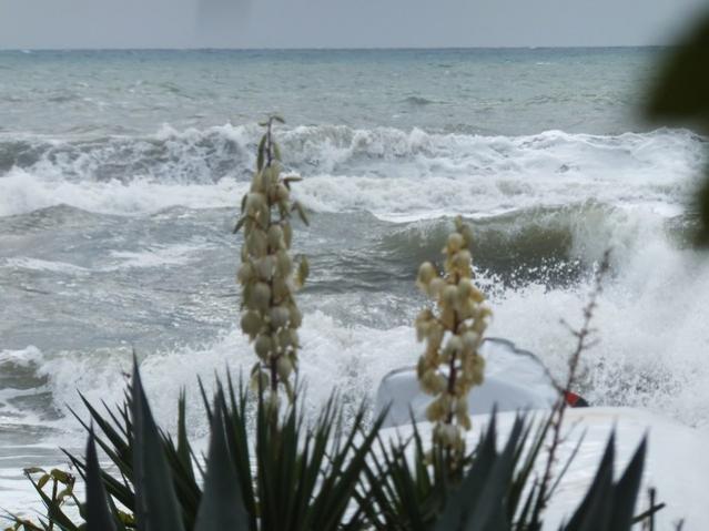 Name:  DSCF7770.jpg
Views: 357
Size:  42.5 KB