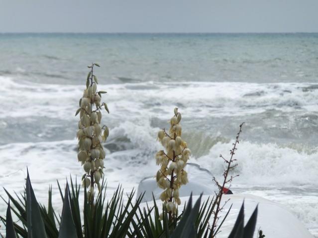 Name:  DSCF7772.jpg
Views: 335
Size:  37.5 KB
