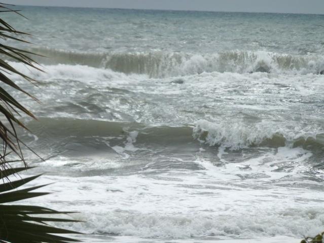 Name:  DSCF7778.jpg
Views: 352
Size:  47.4 KB