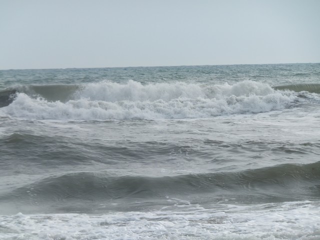 Name:  DSCF7779.jpg
Views: 372
Size:  68.8 KB