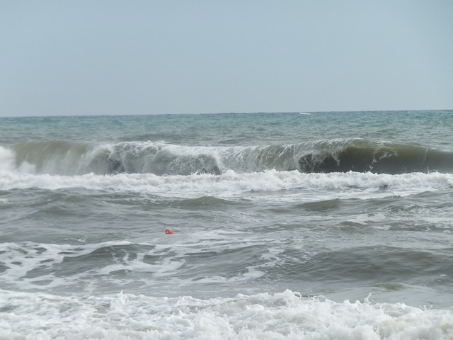 Name:  DSCF7781.jpg
Views: 347
Size:  69.1 KB