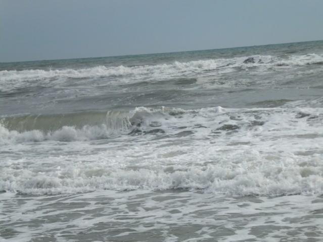 Name:  DSCF7787.jpg
Views: 333
Size:  37.5 KB