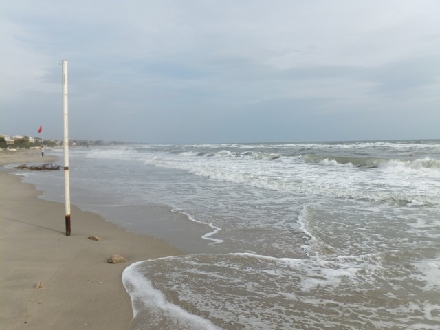 Name:  DSCF7788.jpg
Views: 335
Size:  63.5 KB
