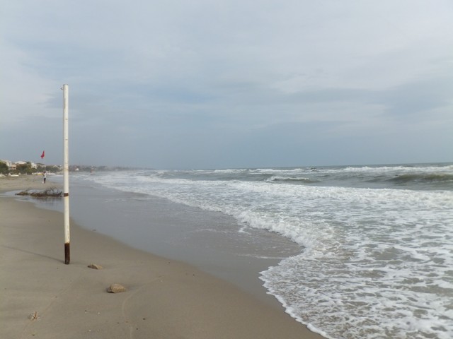 Name:  DSCF7790.jpg
Views: 350
Size:  54.5 KB
