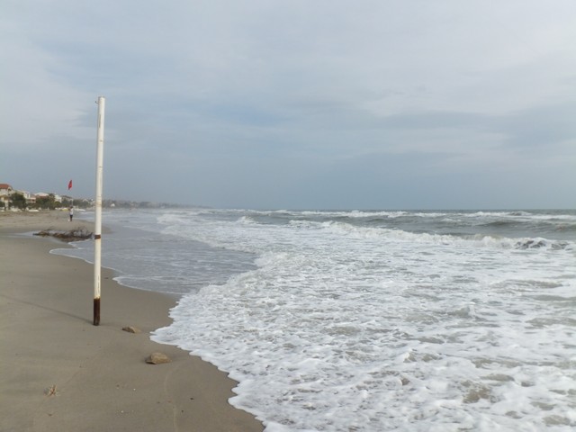 Name:  DSCF7792.jpg
Views: 351
Size:  59.1 KB