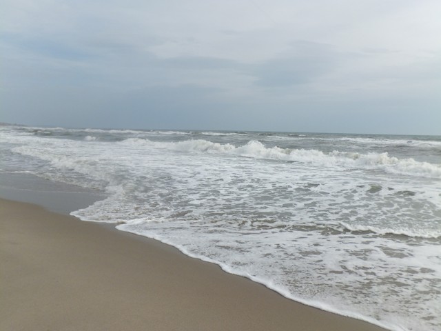Name:  DSCF7795.jpg
Views: 380
Size:  61.7 KB