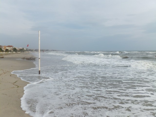 Name:  DSCF7801.jpg
Views: 353
Size:  66.2 KB