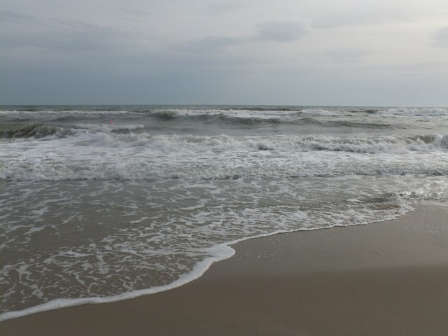 Name:  DSCF7802.jpg
Views: 359
Size:  66.6 KB