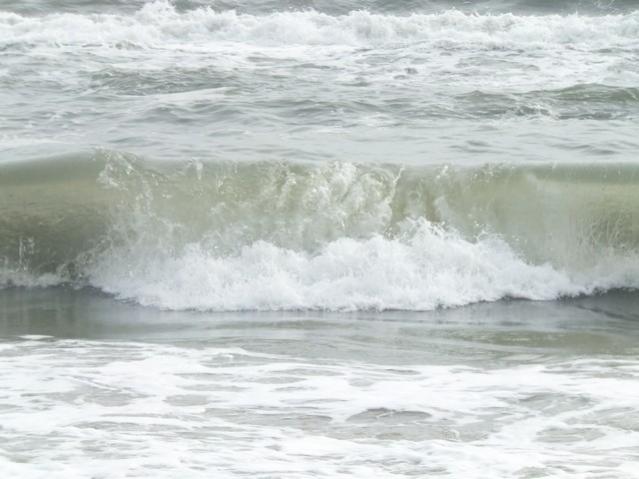 Name:  DSCF7804.jpg
Views: 338
Size:  38.4 KB