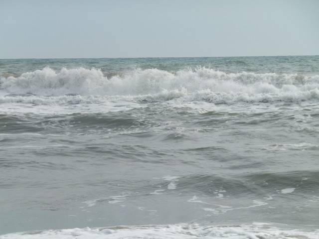 Name:  DSCF7805.jpg
Views: 366
Size:  66.0 KB