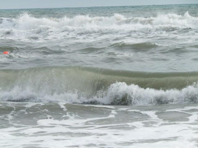 Name:  DSCF7807.jpg
Views: 807
Size:  38.7 KB
