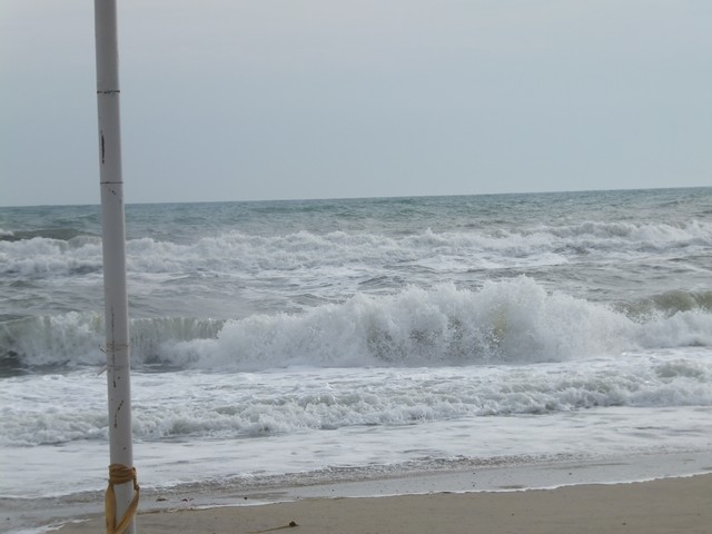 Name:  DSCF7812.jpg
Views: 339
Size:  62.7 KB