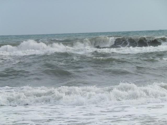Name:  DSCF7816.jpg
Views: 349
Size:  32.7 KB