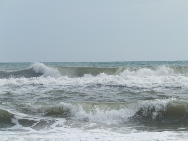 Name:  DSCF7818.jpg
Views: 370
Size:  60.6 KB