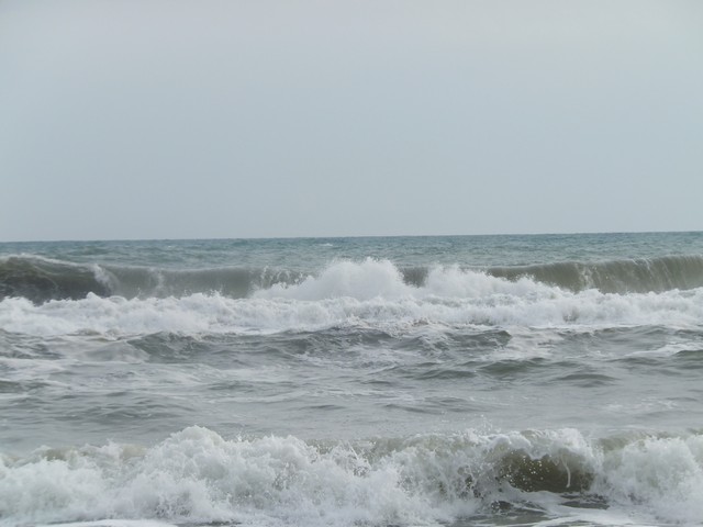 Name:  DSCF7835.jpg
Views: 348
Size:  58.1 KB