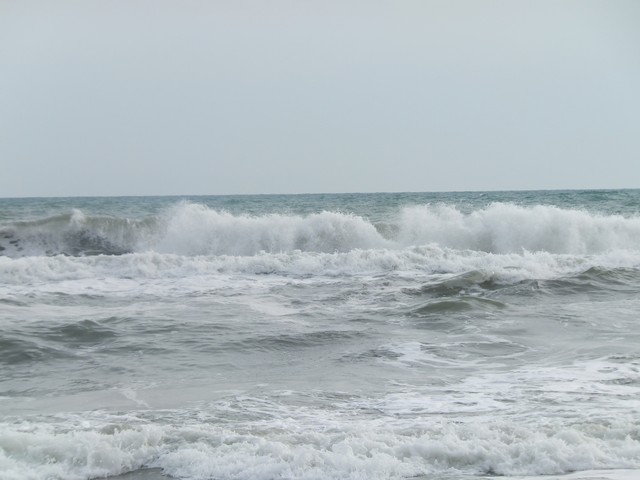 Name:  DSCF7833.jpg
Views: 346
Size:  60.5 KB