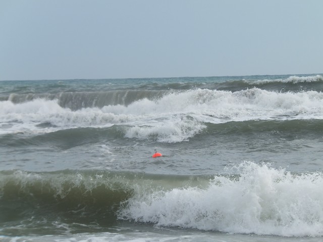 Name:  DSCF7840.jpg
Views: 320
Size:  63.8 KB