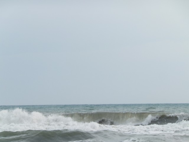 Name:  DSCF7842.jpg
Views: 317
Size:  36.9 KB