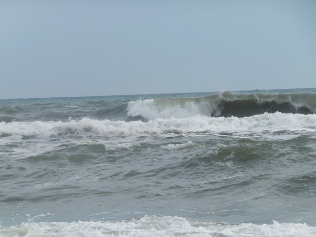 Name:  DSCF7845.jpg
Views: 332
Size:  60.7 KB