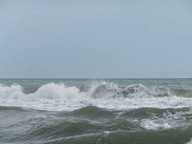 Name:  DSCF7847.jpg
Views: 320
Size:  50.3 KB