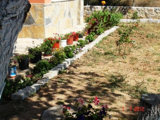 Name:  DSC02855.jpg
Views: 806
Size:  70.1 KB