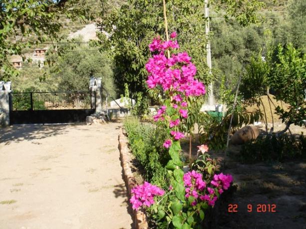 Name:  DSC02885.jpg
Views: 816
Size:  71.6 KB