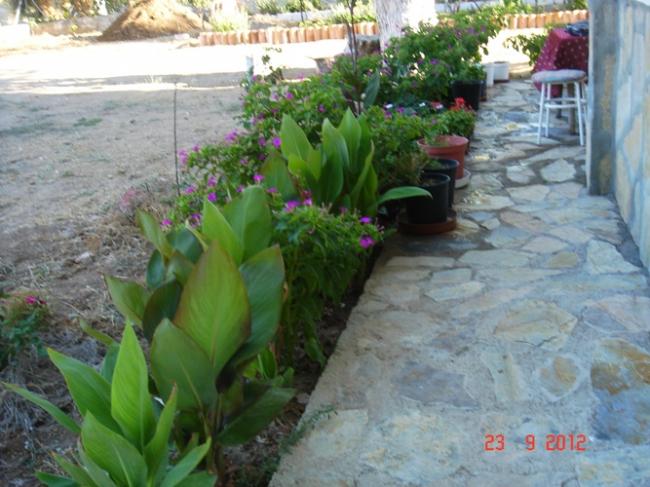 Name:  DSC02891.jpg
Views: 1903
Size:  52.8 KB