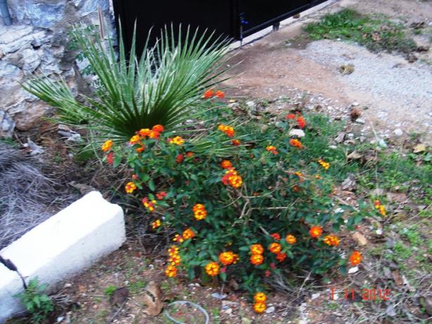 Name:  Resim 014.jpg
Views: 2255
Size:  71.6 KB