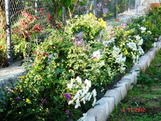 Name:  Resim 042.jpg
Views: 1743
Size:  73.9 KB