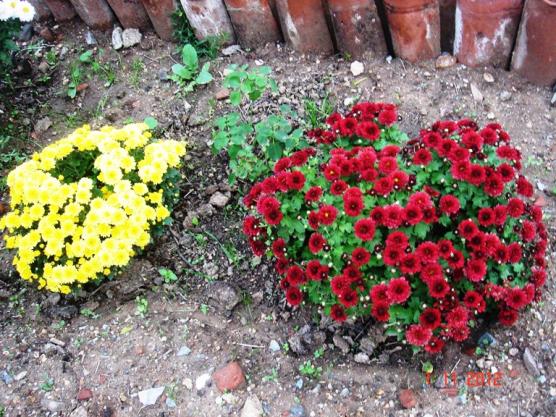 Name:  Resim 004.jpg
Views: 1980
Size:  74.2 KB