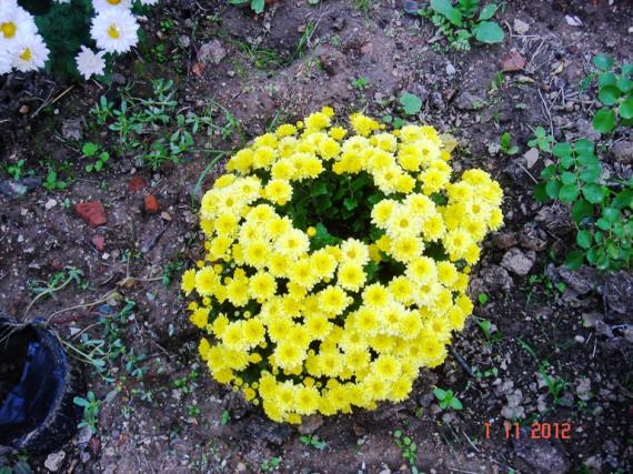 Name:  Resim 005.jpg
Views: 1745
Size:  73.6 KB