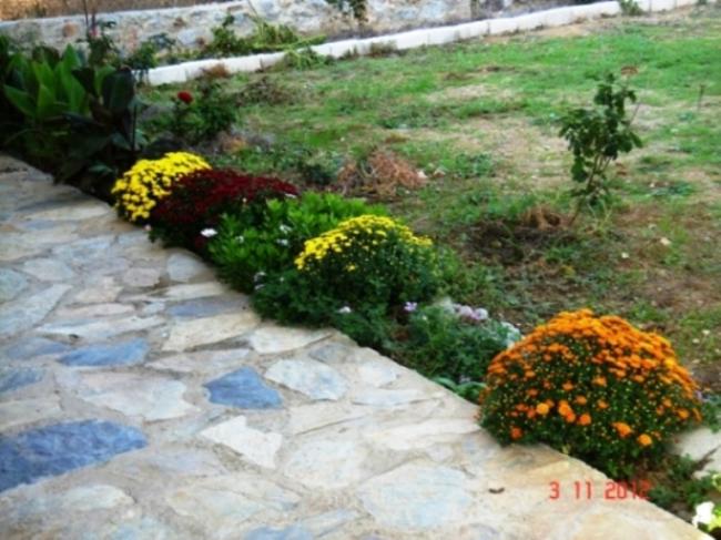 Name:  Resim 031.jpg
Views: 1719
Size:  55.5 KB