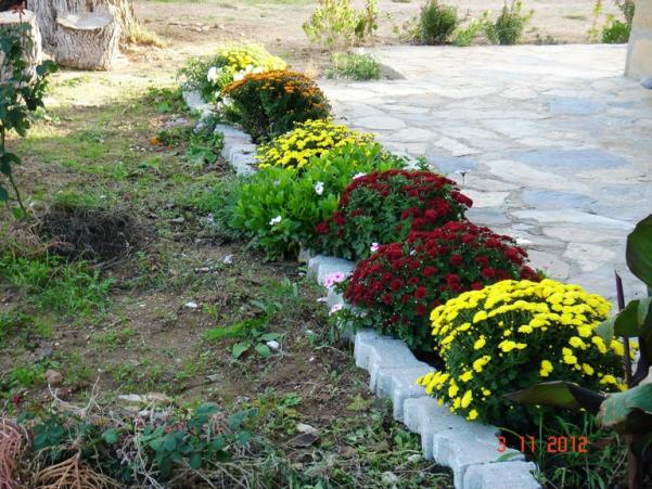 Name:  Resim 032.jpg
Views: 1694
Size:  72.4 KB
