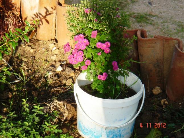 Name:  Resim 040.jpg
Views: 1663
Size:  70.5 KB
