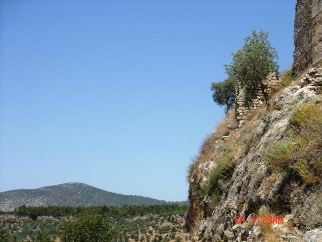 Name:  Bein Kalesinde Zeyt.jpg
Views: 1728
Size:  42.6 KB